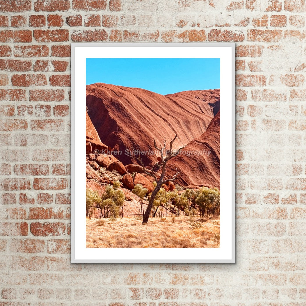 Lone Tree Uluru